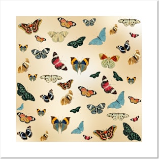 Vintage Butterfly Pattern Posters and Art